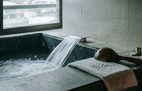 Hotel Royal Beitou