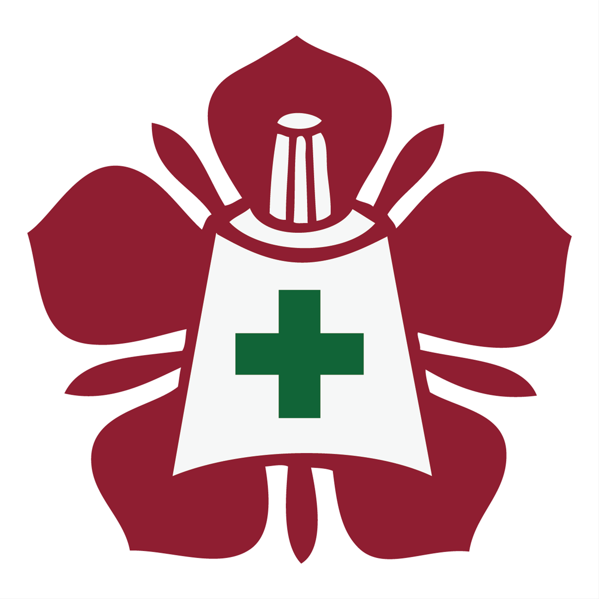 National Cheng Kung University Hospital