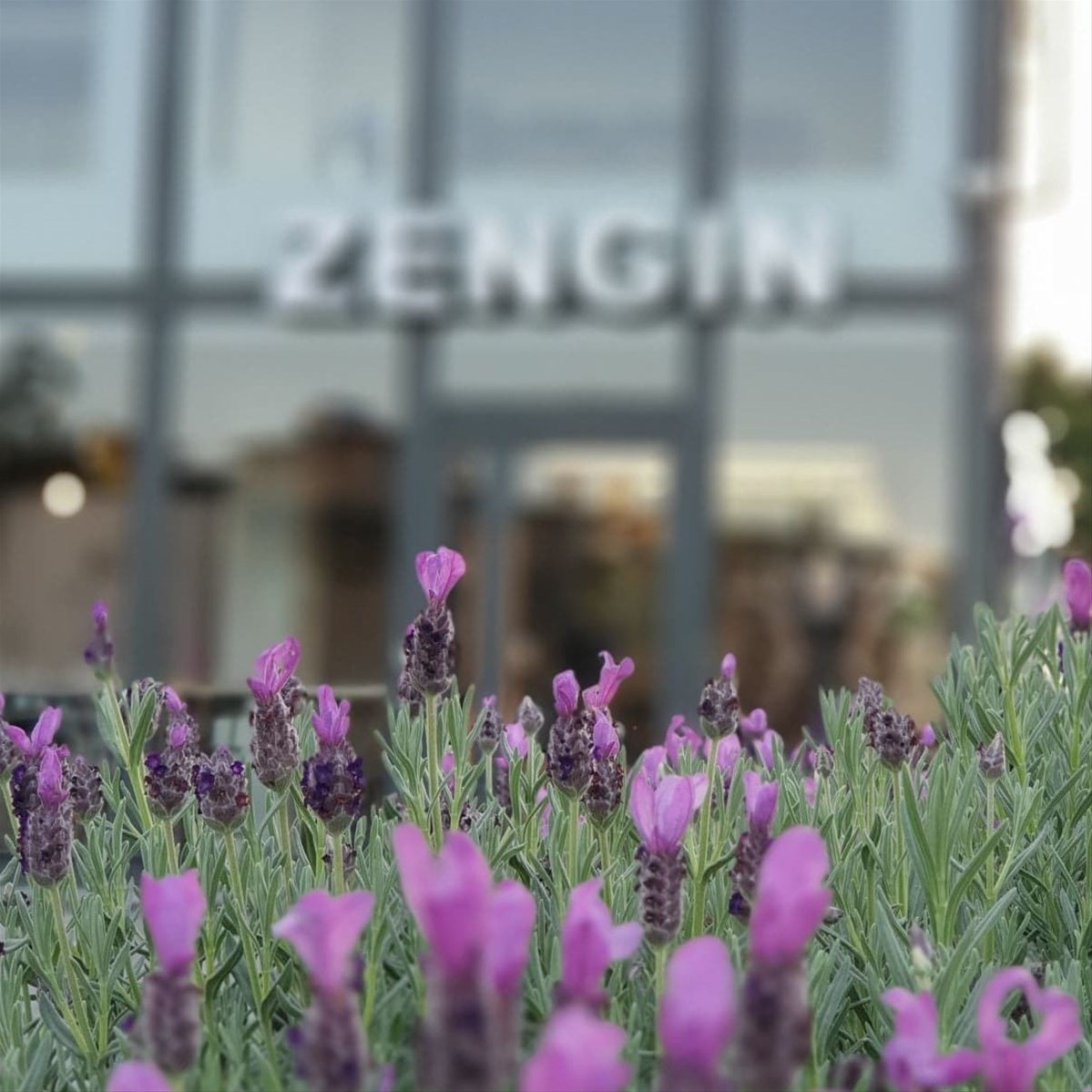 ZENGIN CAFE