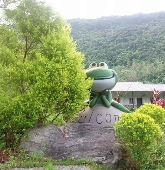 Small Tree Frog Eco Farm