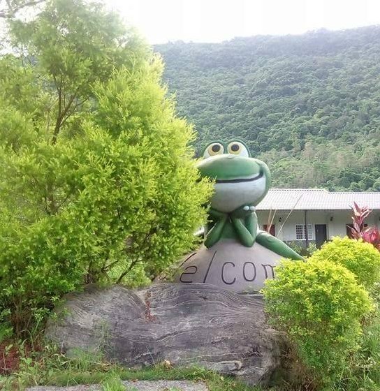 Small Tree Frog Eco Farm