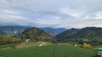 Alishanwin
