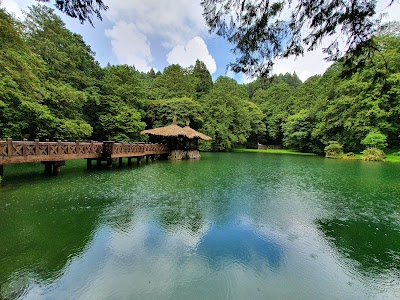 Alishan National Forest Recreation Area