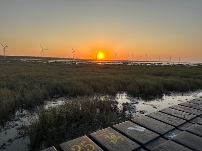 Gaomei Wetlands